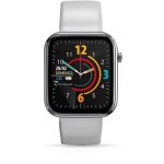 Montre - gris - techmade - tm - hava - gy