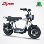 Moto �lectrique dax e - wat 1200w skyteam / gris