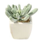 Moule de la r�sine de montagnes tapis de fleur de soleil tapis de service de serveur bricolage casting ...