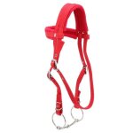 Bride de cheval r�glable mxzzand - rouge - avec coussin animalerie selle