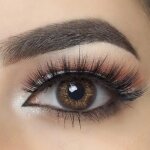 Mysalens® lentilles de contact de couleur marron 3t avec accessoires et solution 12 mois sans correction ... Mysalens® lentilles de contact de couleur marron 3t avec accessoires et solution 12 mois sans correction ...