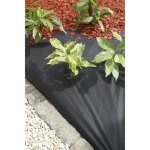 Nappe de paillage - noir 50 gr / m� - 1x10 m