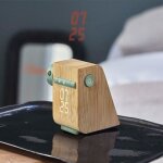 Radio rveil numrique - nature & dcouvertes - bambou - chants doiseaux - projection heure