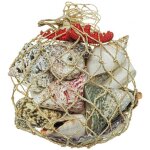 Naturosphre - petit filet de coquillages divers et toile de mer