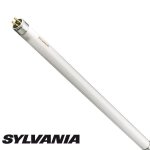 Sylvania - non t5 80w grolux