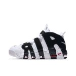 Nike air plus tn uptempo panda