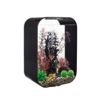 Oase aquarium 60l contours noir - life 60 mcr black