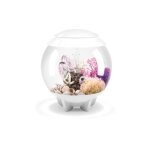 Oase aquarium décoratif 15l blanc - halo 15 mcr white Oase aquarium décoratif 15l blanc - halo 15 mcr white