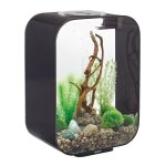 Oase aquarium dcoratif 15l avec cadre noir - life 15 mcr black