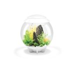 Oase aquarium dcoratif 30l blanc - halo 30 mcr white