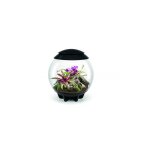 Oase terrarium d�coratif 60l avec cadre noir - air 60 black