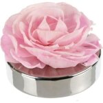 Un superbe objet de d�coration . . . une belle id�. . .