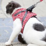 Harnais pour chat - omabeta - rouge - gilet rembourr� - r�glable - anti - �vasion