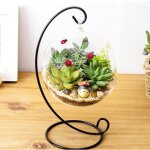 Vase suspendu - omabeta - grand terrarium - verre borosilicat - cadre en fer - design contemporain