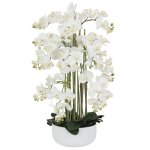Orchid�es artificielles 80cm