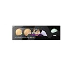 Loreal paris teint infaillible palette correctrice