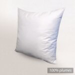 Oreiller 60x60 cm grizzlit plumes 100% plumes de canard