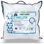 Oreiller moelleux 60x60 cm - garde son gonflant - confortable - confection européenne - qualité hôtellerie ... Oreiller moelleux 60x60 cm - garde son gonflant - confortable - confection européenne - qualité hôtellerie ...