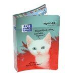 Oxford agenda 100738352 - 12 x 18 cm - 1 jour la page - couverture rigide - 352 p - dcor chat blanc ...