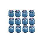 Pack de 12 cartouches de gaz 190g per�able butane kemper