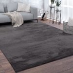 Paco home tapis de salon poils ras lavable monochrome style moderne gris anthracite gris fonc� 200 cm ...