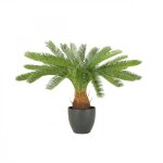 Palmier artificiel cycas 70cm - ligne deco - arbuste d?ornement - vert - intérieur - véranda - pot Palmier artificiel cycas 70cm - ligne deco - arbuste d?ornement - vert - intérieur - véranda - pot