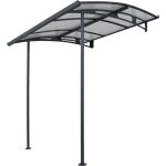 Palram marquise de porte canopy vega 2000 grise Palram marquise de porte canopy vega 2000 grise