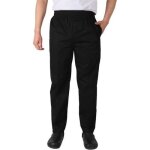 Pantalon de chef pour homme - restauration - ray - or et noir