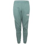 Pantalon en polaire - the north face - mountain athletics - homme - bleu