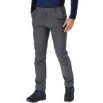 Pantalon de randonn�e pour homme regatta fenton r�sistant � leau - gris