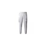 Pantalon de sport pour homme the north face - gris - multisport - alpinisme