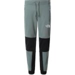 Pantalon de survtement homme the north face himalayan - vert - sports dhiver et randonne