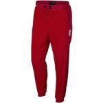 Pantalon de survêtement nike jordan wings of flight Pantalon de survêtement nike jordan wings of flight