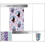 Papier cadeau - no name - frozen 2 - 200 cm - 70 cm - modle alatoire