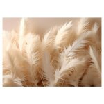 Papier peint intiss� panoramique plumes beige s�pia nature 416x254 cm tapisserie chambre non tiss� muraux ...