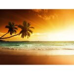 Papier peint photo intissé - palmier coucher du soleil - (215172) - 400x260cm - 8 lés - mural poster ... Papier peint photo intissé - palmier coucher du soleil - (215172) - 400x260cm - 8 lés - mural poster ...