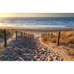 Papier peint photo mur murale intiss (5787) promenade sur la plage - 400x260cm - tapisserie fond d?cran ...
