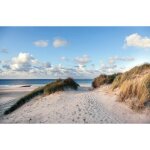 Papier peint photo mur murale intiss� (5788)promenade plage - 400x260cm - tapisserie fond d?�cran affiche ...