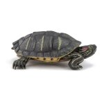 Papo - figurine tortue de floride