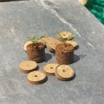 Pastille - nortene - coco - tab - fibre de coco dshydrate - 4 cm - par 20 units