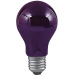 Ampoule incandescente - paulmann - 59070 - 75w - e27 - lumire noire - 230v