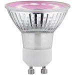 Paulmann lampe pour plantes � led croissance 230 v gu10 3. 5 w ambr� 1 pc(s)
