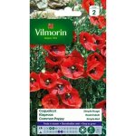 Vilmorin coquelicot simple rouge