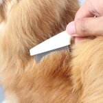 Peigne  puces pour animaux de compagnie chat et chien