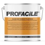 Peinture blanc mat intérieur murs et plafonds sans odeur 2 en 1 sous - couche intégrée profacile Peinture blanc mat intérieur murs et plafonds sans odeur 2 en 1 sous - couche intégrée profacile