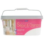 Peinture murale - indigo - vert deau - monocouche - satin� - 25 l