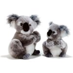 Peluche - plush & company - koline koala - 22 cm - bb mixte