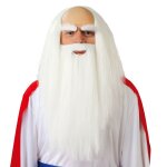 Perruque barbe druide blanc