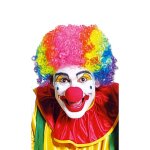 Perruque - widmann - clown multicolore - mixte - adulte - int�rieur