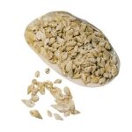 Petits coquillages c�nes pointus de 2 � 3 cm de long dans une coquille nacr�e de 15 cm - unique
